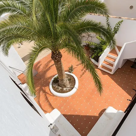 فيلة Fidalsa Reminds Ibiza